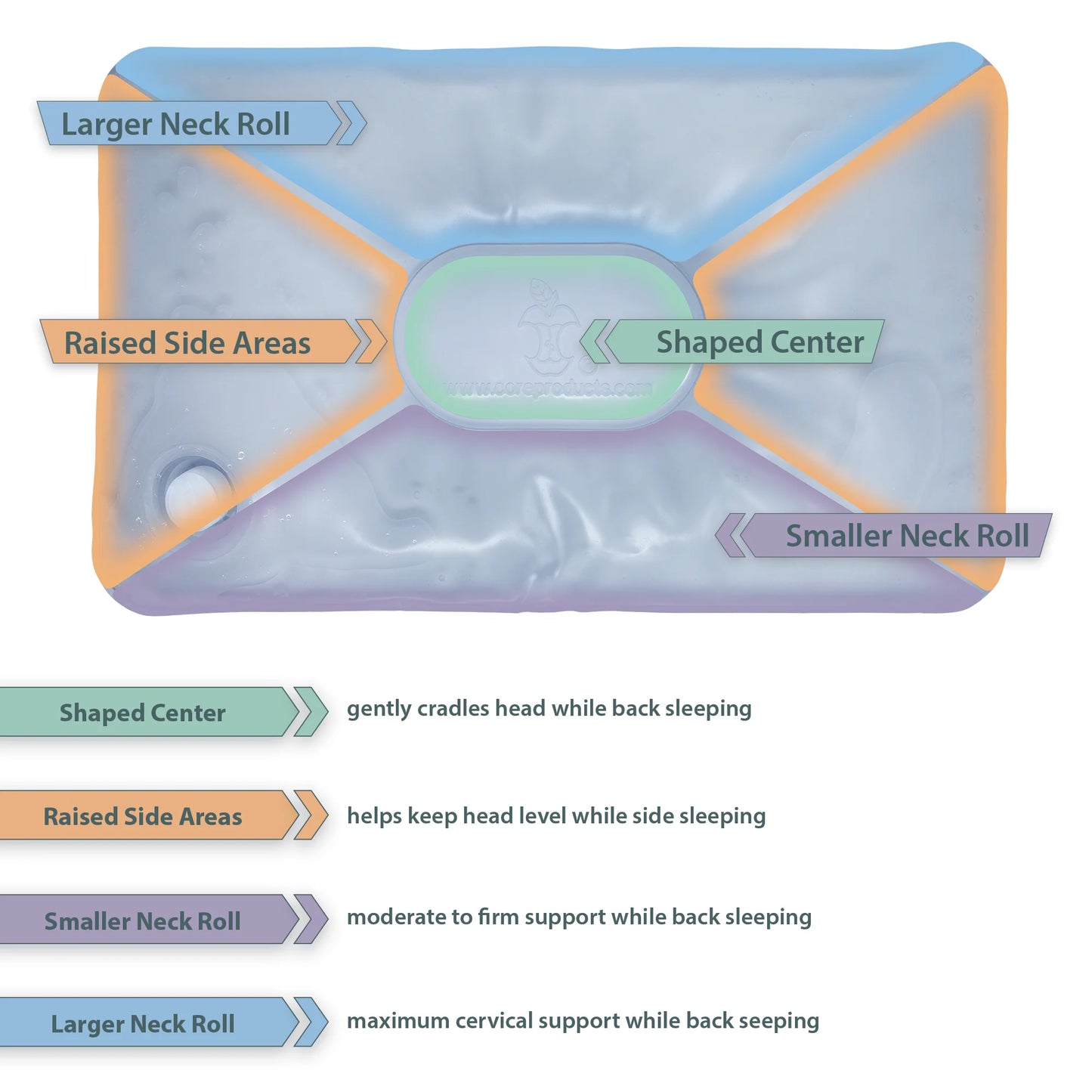 Diagram of a contoured water pillow highlighting its oval center, raised side areas, and two different neck roll sizes designed to support side and back sleepers