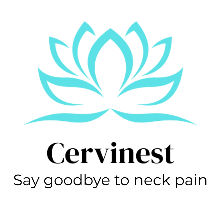Cervical_Pillow_-_cervinest.com