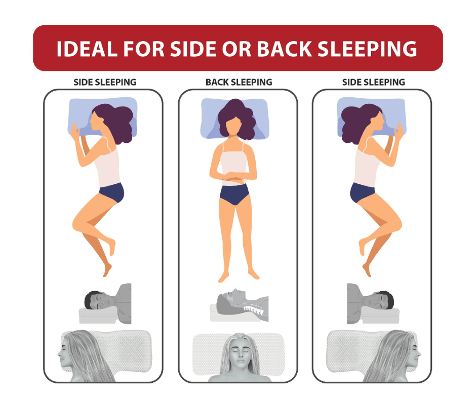 Illustration showing proper side and back sleeping positions using a contoured cervical pillow, with visual examples of head and neck placement for comfortable alignment.