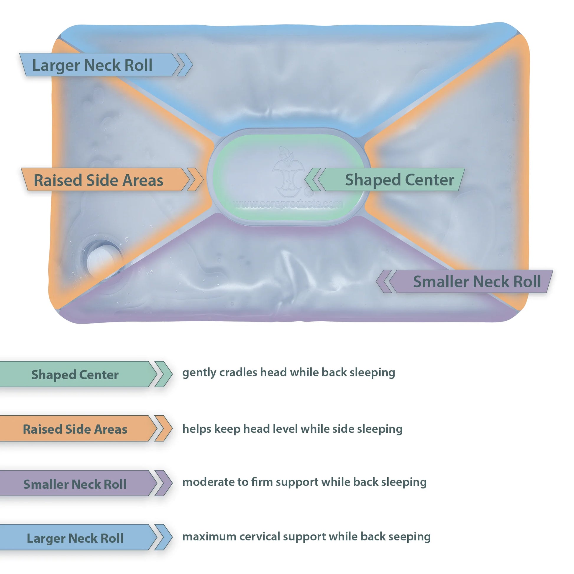 Diagram of a contoured water pillow highlighting its oval center, raised side areas, and two different neck roll sizes designed to support side and back sleepers